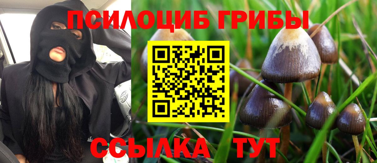 Псилоцибиновые грибы Cubensis  Галлюциногенные грибы GOLDEN TEACHER  Невинномысск  Вход с VPN 